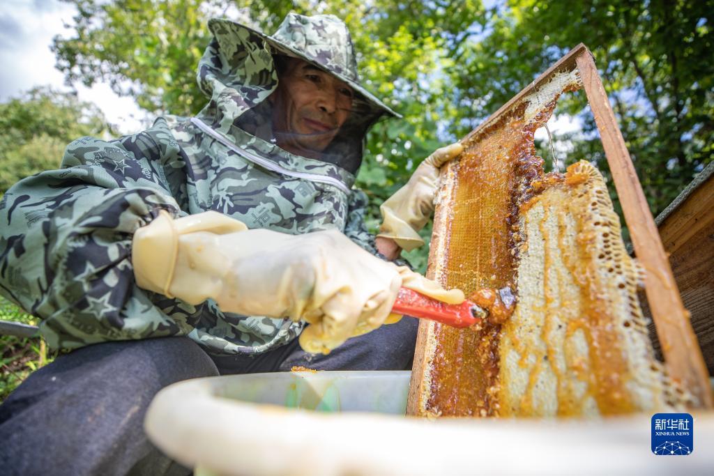 美高梅登录